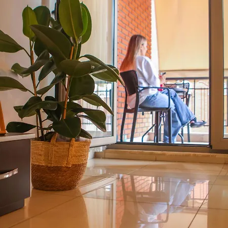 N&N Delijorgji Apartment Tirana * Tirana