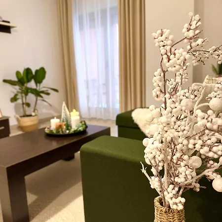 N&N Delijorgji Apartment Tirana