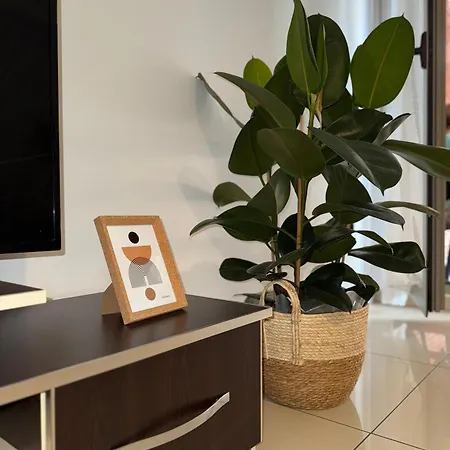 Apartment N&n Delijorgji